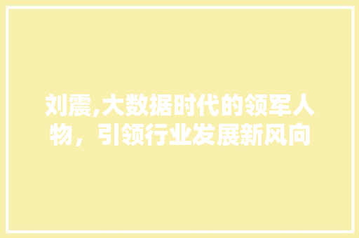 刘震,大数据时代的领军人物，引领行业发展新风向