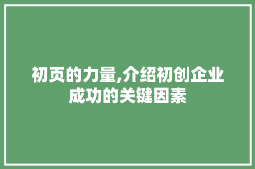 初页的力量,介绍初创企业成功的关键因素