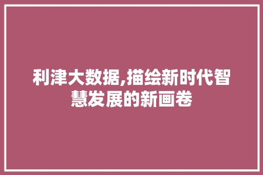 利津大数据,描绘新时代智慧发展的新画卷