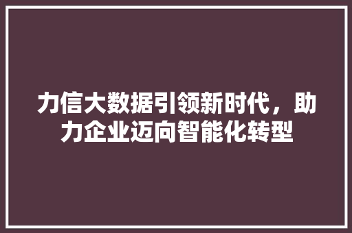 力信大数据引领新时代，助力企业迈向智能化转型 PHP