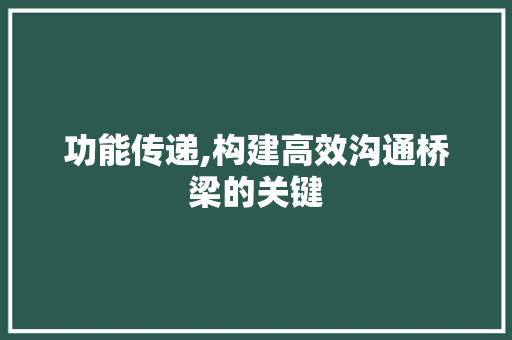 功能传递,构建高效沟通桥梁的关键