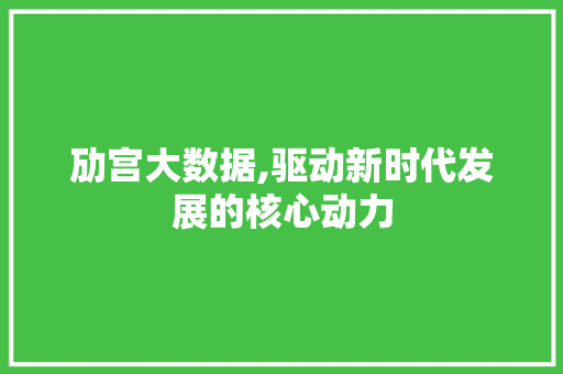 劢宫大数据,驱动新时代发展的核心动力