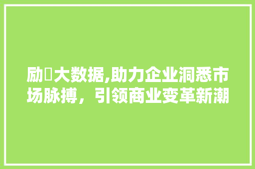 励鋆大数据,助力企业洞悉市场脉搏，引领商业变革新潮流