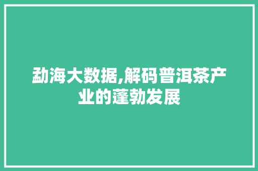 勐海大数据,解码普洱茶产业的蓬勃发展