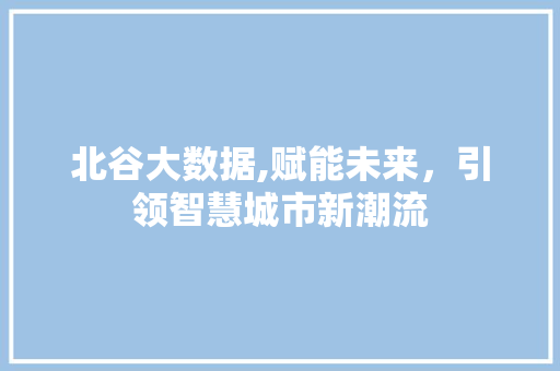 北谷大数据,赋能未来，引领智慧城市新潮流 Angular