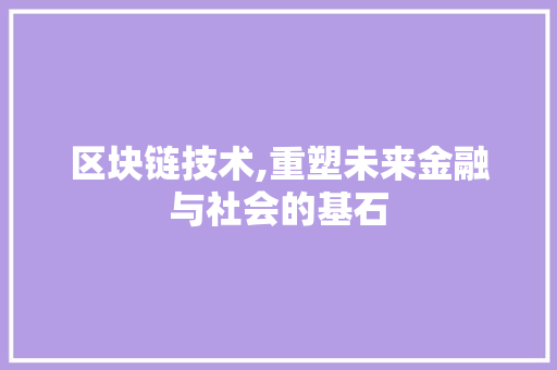 区块链技术,重塑未来金融与社会的基石