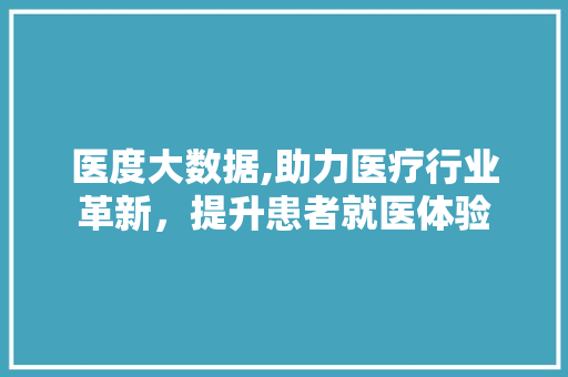 医度大数据,助力医疗行业革新，提升患者就医体验