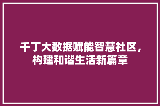 千丁大数据赋能智慧社区，构建和谐生活新篇章