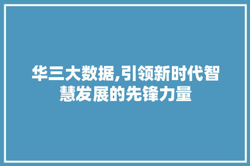 华三大数据,引领新时代智慧发展的先锋力量