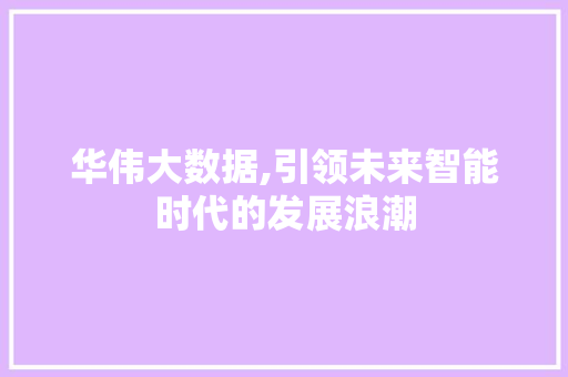 华伟大数据,引领未来智能时代的发展浪潮