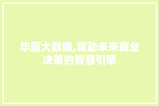 华厦大数据,驱动未来商业决策的智慧引擎