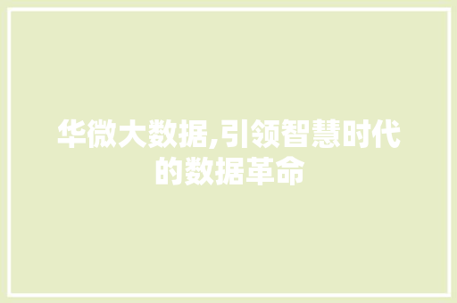 华微大数据,引领智慧时代的数据革命