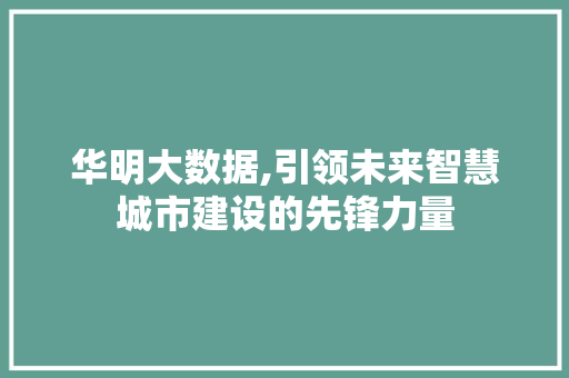 华明大数据,引领未来智慧城市建设的先锋力量