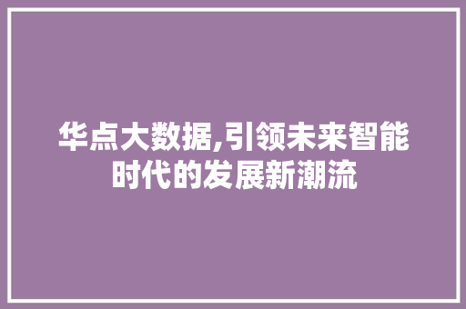 华点大数据,引领未来智能时代的发展新潮流