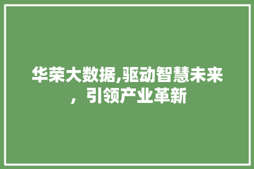 华荣大数据,驱动智慧未来，引领产业革新