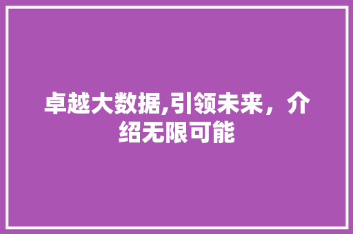 卓越大数据,引领未来，介绍无限可能