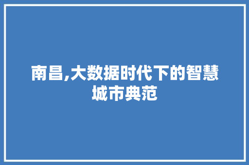 南昌,大数据时代下的智慧城市典范