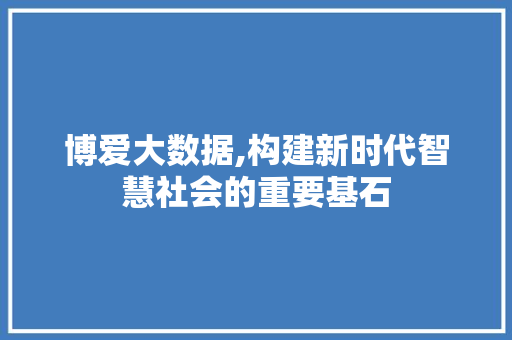 博爱大数据,构建新时代智慧社会的重要基石 React