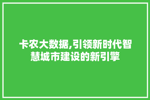 卡农大数据,引领新时代智慧城市建设的新引擎