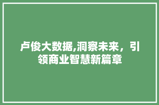 卢俊大数据,洞察未来，引领商业智慧新篇章