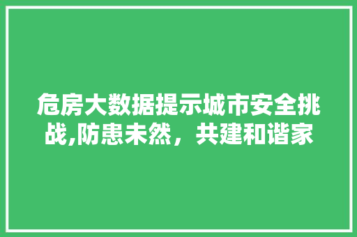 危房大数据提示城市安全挑战,防患未然，共建和谐家园