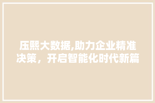 压熙大数据,助力企业精准决策，开启智能化时代新篇章 Python