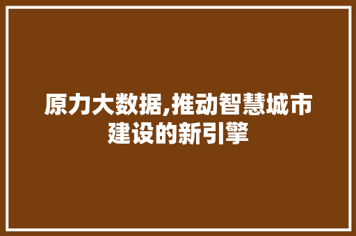 原力大数据,推动智慧城市建设的新引擎