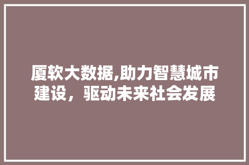 厦软大数据,助力智慧城市建设，驱动未来社会发展