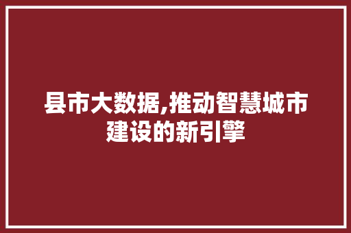 县市大数据,推动智慧城市建设的新引擎