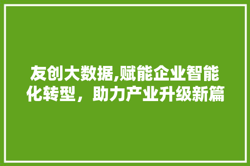 友创大数据,赋能企业智能化转型，助力产业升级新篇章