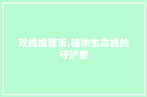 双线维管束,植物生命线的守护者