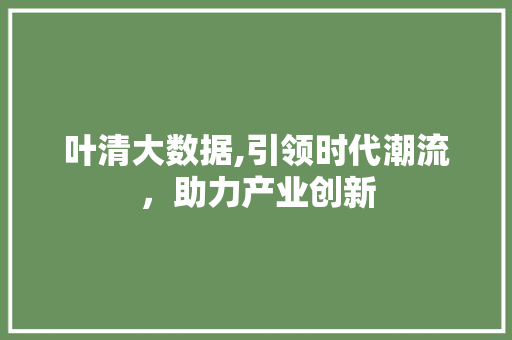 叶清大数据,引领时代潮流，助力产业创新