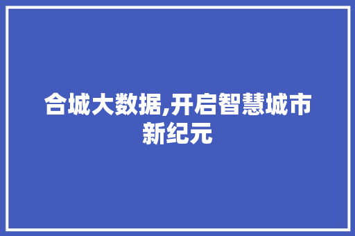 合城大数据,开启智慧城市新纪元