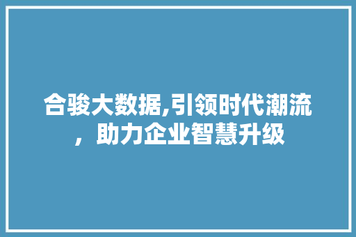 合骏大数据,引领时代潮流，助力企业智慧升级