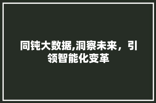 同钝大数据,洞察未来，引领智能化变革