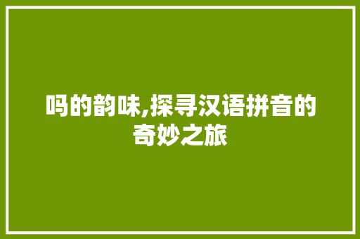 吗的韵味,探寻汉语拼音的奇妙之旅