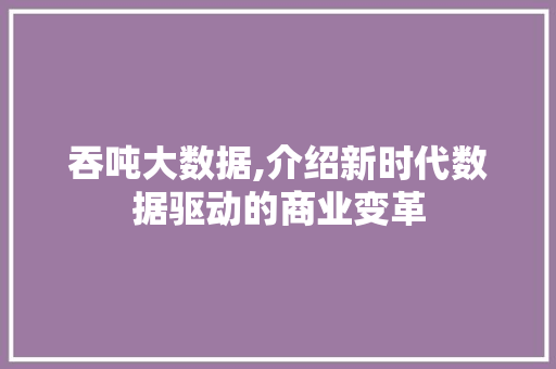 吞吨大数据,介绍新时代数据驱动的商业变革