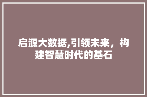 启源大数据,引领未来，构建智慧时代的基石