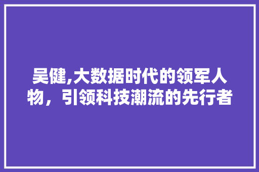 吴健,大数据时代的领军人物，引领科技潮流的先行者 SQL