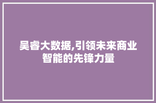 吴睿大数据,引领未来商业智能的先锋力量 Python