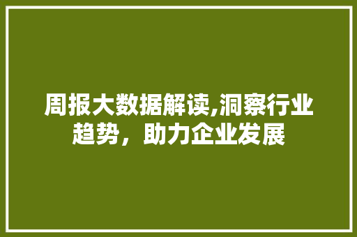 周报大数据解读,洞察行业趋势，助力企业发展