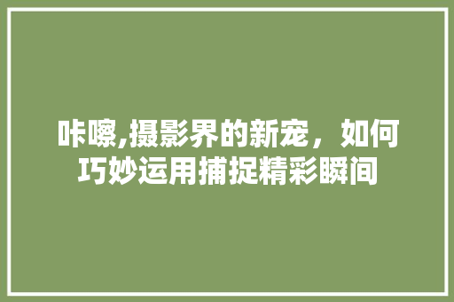 咔嚓,摄影界的新宠，如何巧妙运用捕捉精彩瞬间