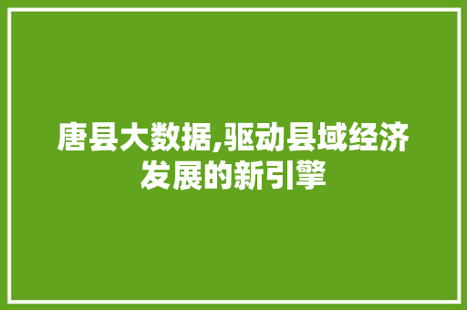 唐县大数据,驱动县域经济发展的新引擎 Python