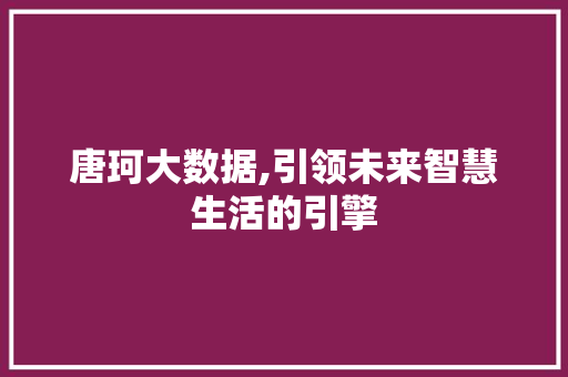 唐珂大数据,引领未来智慧生活的引擎