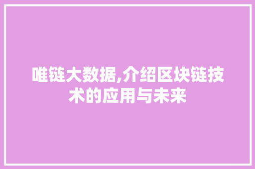 唯链大数据,介绍区块链技术的应用与未来