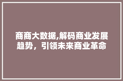 商商大数据,解码商业发展趋势，引领未来商业革命