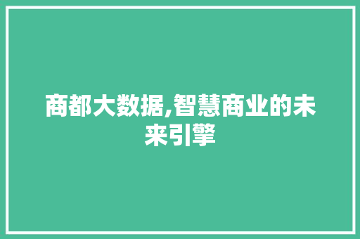 商都大数据,智慧商业的未来引擎