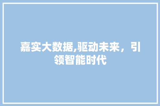 嘉实大数据,驱动未来，引领智能时代