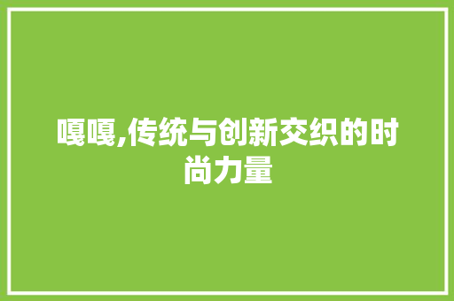 嘎嘎,传统与创新交织的时尚力量