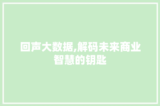 回声大数据,解码未来商业智慧的钥匙